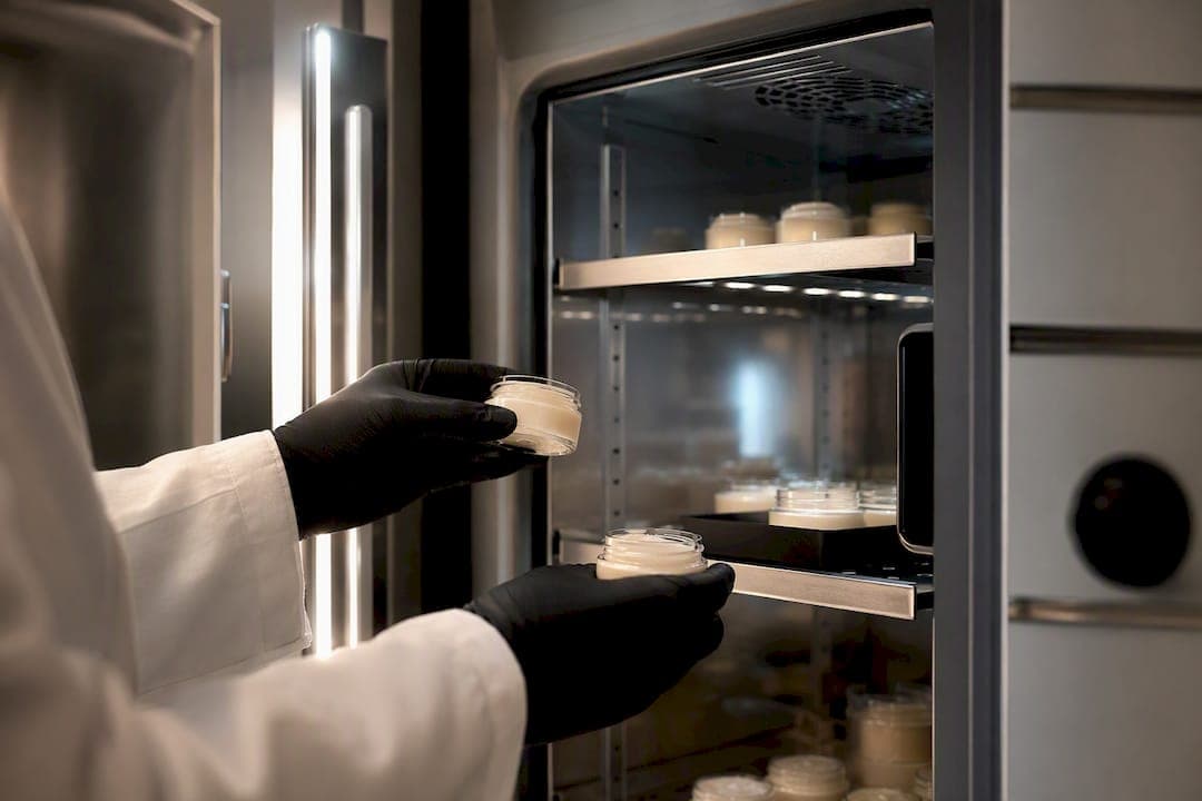 Body Butter Shelf Life: 12–36 Months Unopened, What Lab Tests Reveal